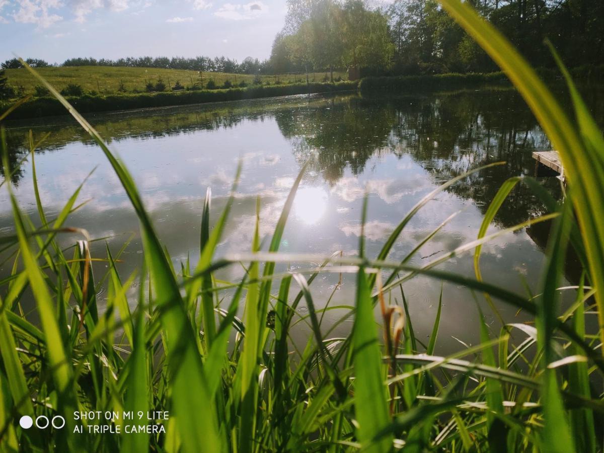Wczasymazurskie - Domek Caloroczny " Lawenda" Mazury Moldzie Extérieur photo